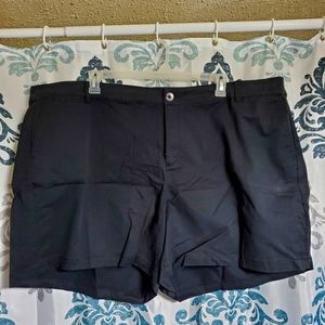 Lane Bryant Shorts